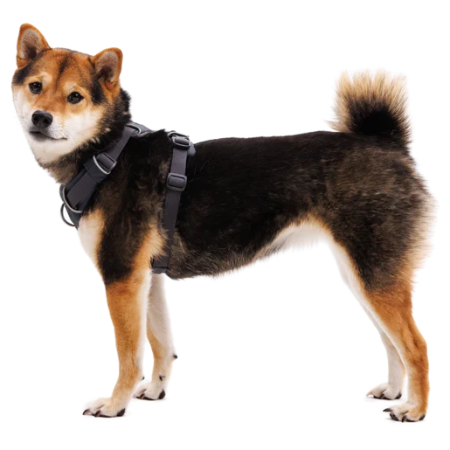 Нагръдник за куче Ruffwear Front Range® Harness