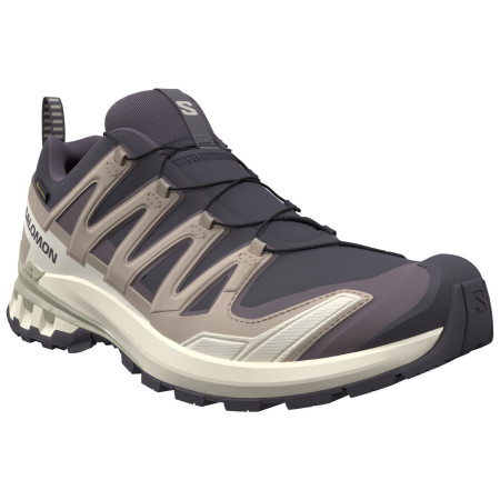 Дамски туристически обувки Salomon Xa Pro 3D V9 Gore-Tex