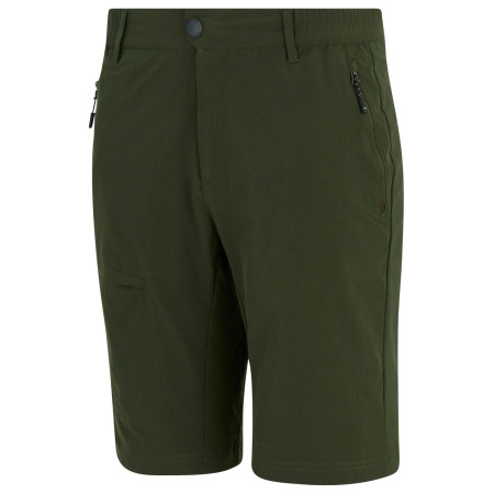 Мъжки къси панталони Regatta Highton Shorts Long II