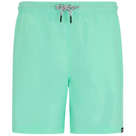 Мъжки къси панталони Regatta Mackleyna Swim Short