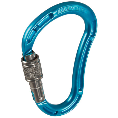Карабинер Mammut Bionic Mythos Screw Gate син aqua