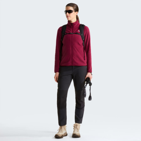 Дамски функционален суитшърт The North Face W Glacier Fleece Jacket