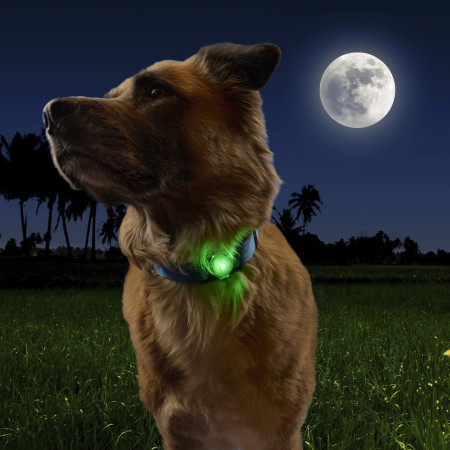 Светлина за куче Nite Ize NiteDog™ Rechargeable Pet Light