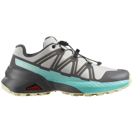 Дамски обувки Salomon Speedcross Peak сив/син Icicle / Castlerock / Aruba Blue