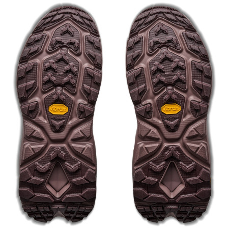 Дамски обувки Hoka W Kaha 2 Frost Gtx