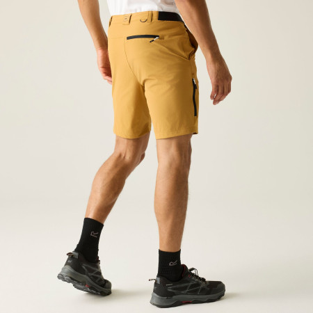 Мъжки къси панталони Regatta Anti-Insect Travel Light Shorts