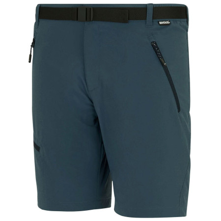 Мъжки къси панталони Regatta Xert Stretch Shorts