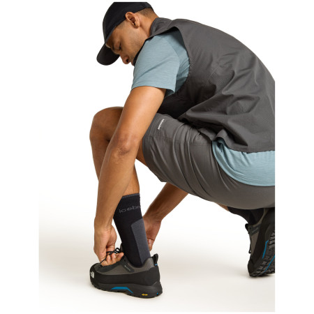 Мъжки чорапи Icebreaker M Mer Hike+ Light Crew