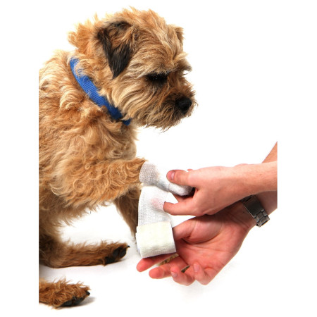 Аптечка за кучета Mountain Paws Dog First Aid Kit