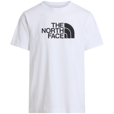 Мъжка тениска The North Face Evolution Half Dome Regular Short Slee