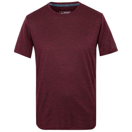 Мъжка тениска Regatta Fingal Edition