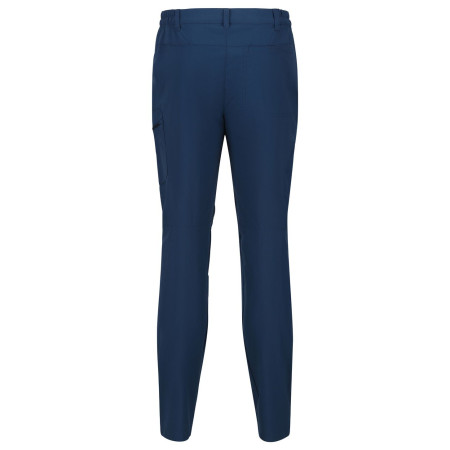 Мъжки панталони Regatta Highton Trs