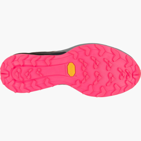 Дамски обувки за бягане Dynafit Alpine W