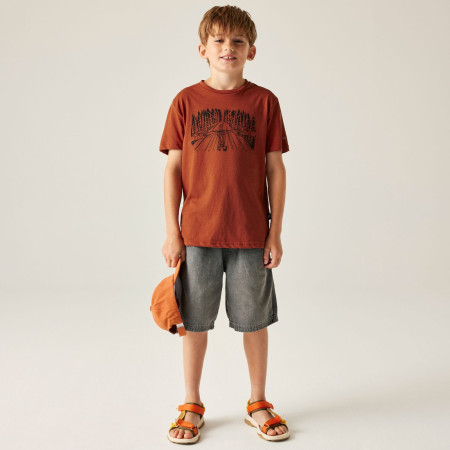 Детска тениска Dare 2b Trailbazer III Tee Arabian Spice