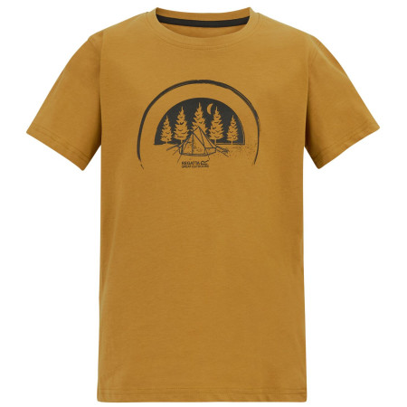 Детска тениска Regatta Bosley Wood Brown кафяв Wood Brown