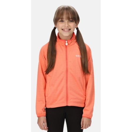 Детски суичър Regatta Jnr Highton LteII