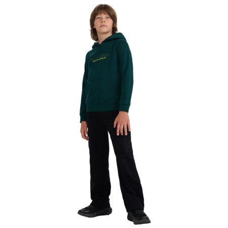 Детски суитшърт 4F Sweatshirt M1959