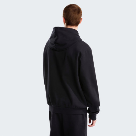 Мъжки суитшърт The North Face M Evolution Simple Dome Regular Hoodie