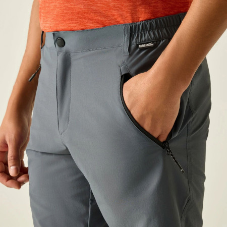 Мъжки къси панталони Regatta Xert Stretch Shorts