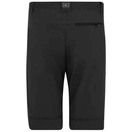 Мъжки панталони Regatta Mountain Z/O Trousers