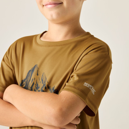 Детска тениска Regatta Alvarado Wood Brown