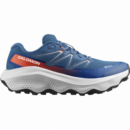 Мъжки обувки Salomon Ultra Flow 2 Gore-Tex