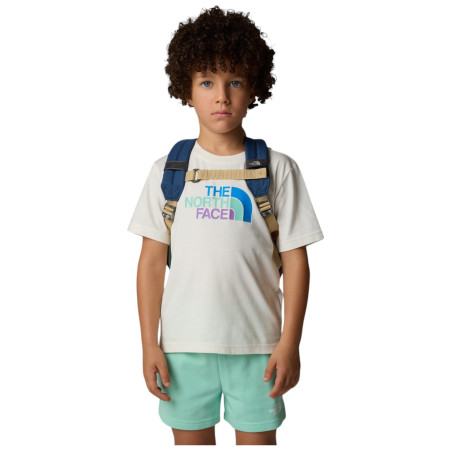 Детска раница The North Face Y Mini Explorer