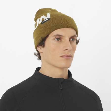 Шапка Salomon Hermitage Beanie