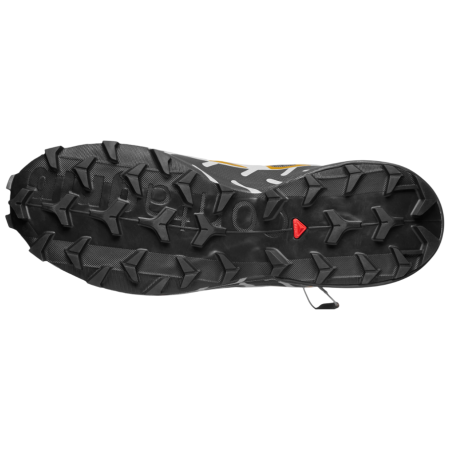 Мъжки обувки Salomon Speedcross 6 20 Years