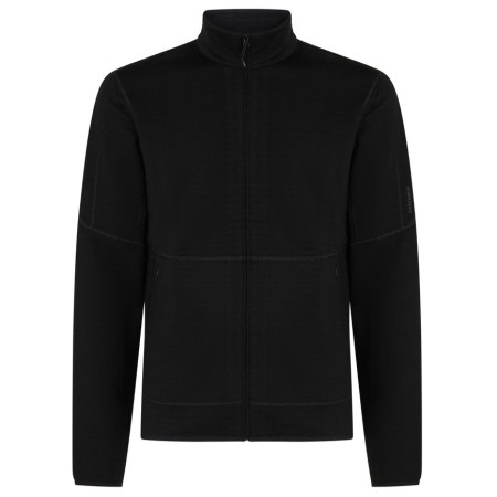 Мъжки суитшърт Icebreaker M Mer 400 RealFleece Descender LS Z черен Black