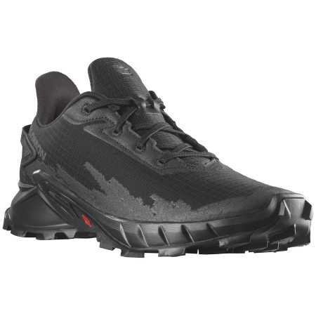 Мъжки обувки за бягане Salomon Alphacross 4