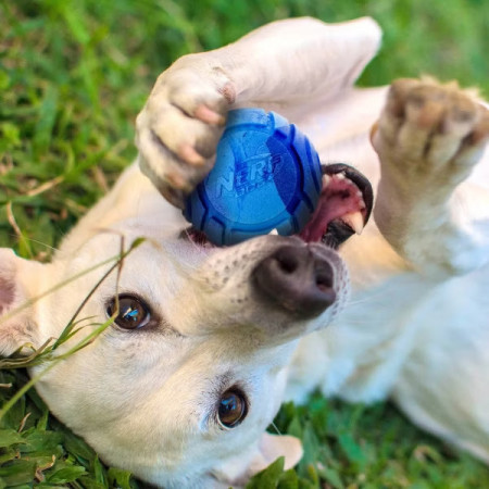 Играчка за куче Nerf Dog Set Lightning & Sonic
