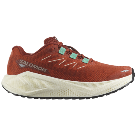 Дамски обувки за бягане Salomon Aero Blaze 3 Grvl кафяв Burnt Ochre / Vanilla Ice / Vanilla Ice