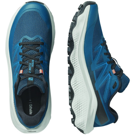 Мъжки обувки Salomon Ultra Flow 2