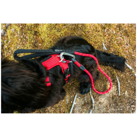 Нагръдник за куче Mountain Paws Dog Harness