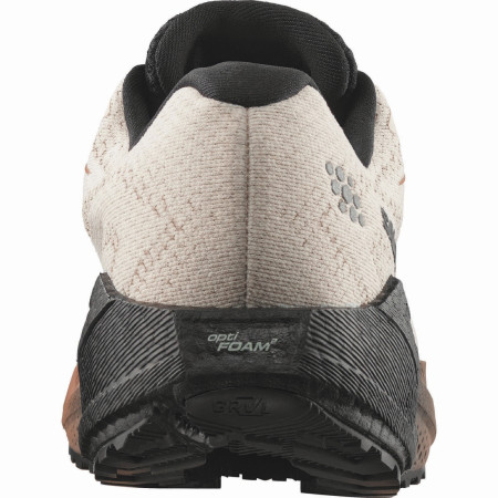 Дамски обувки за бягане Salomon Aero Blaze 4 Grvl GTX W