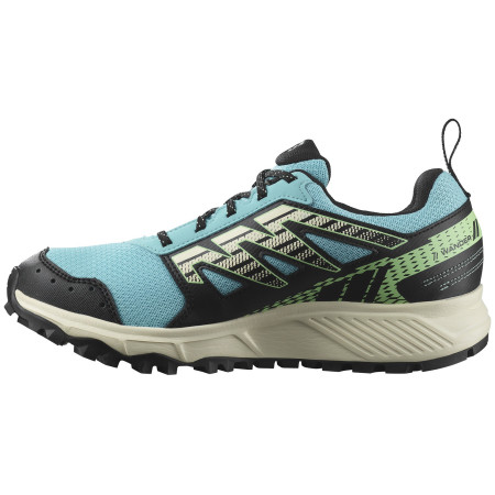 Дамски обувки за бягане Salomon Wander Gore-Tex