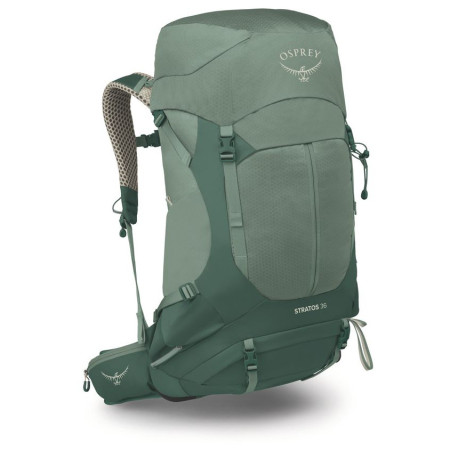 Туристическа раница Osprey Stratos 36 зелен pine leaf green
