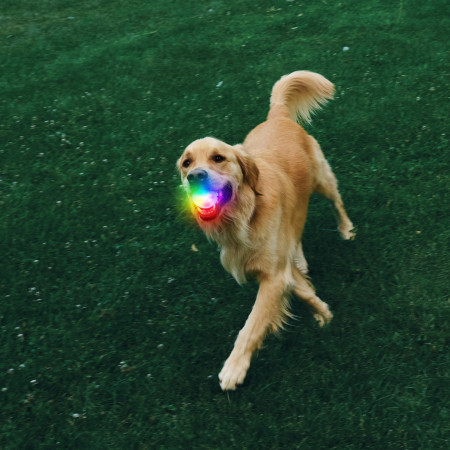 Играчка за куче Nite Ize Glowstreak Rechargeable Led Ball