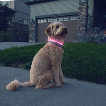 Светещ нашийник за куче Nite Ize NiteHowl® Rechargeable LED Safety Necklace