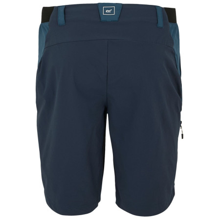 Мъжки къси панталони Regatta Eldes Shorts