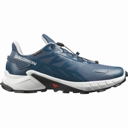 Мъжки обувки за бягане Salomon Supercross 4 Gore-Tex