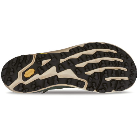 Мъжки туристически обувки Altra Timp 5 Hiker Gtx