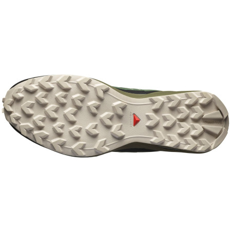 Мъжки обувки Salomon Speedcross Peak