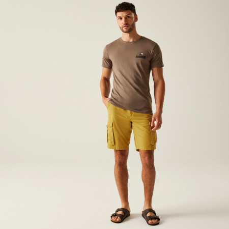 Мъжки къси панталони Regatta Shorebay Shorts II
