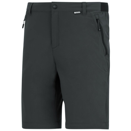 Мъжки панталони Regatta Anti-Insect Travel Light Z/O Trousers