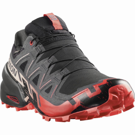 Мъжки обувки за бягане Salomon Speedcross 6 Gore-Tex