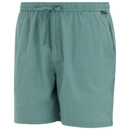 Мъжки къси панталони Regatta Hadlin Shorts