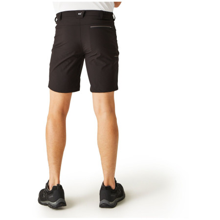 Мъжки къси панталони Regatta Xert Stretch Shorts III