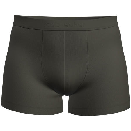 Мъжки боксерки Icebreaker M Mer 125 Cool-Lite Anatomica Boxers